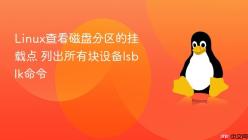 Linux查看磁盘分区的挂载点 列出所有块设备lsblk命令