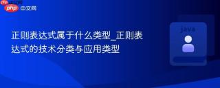 正则表达式属于什么类型_正则表达式的技术分类与应用类型