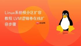 linux系统根分区扩容教程 lvm逻辑卷在线扩容步骤