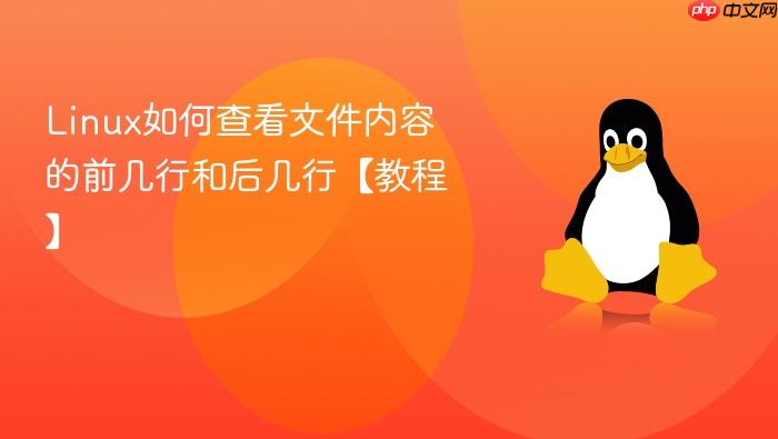 linux如何查看文件内容的前几行和后几行【教程】