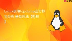 linux使用tcpdump进行抓包分析 基础用法【教程】