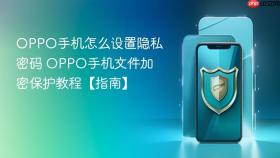 oppo手机怎么设置隐私密码 oppo手机文件加密保护教程【指南】