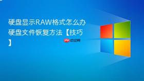 硬盘显示raw格式怎么办 硬盘文件恢复方法【技巧】
