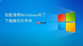彻底清理windows补丁下载缓存文件夹