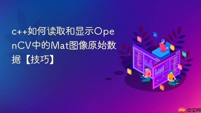 c++如何读取和显示opencv中的mat图像原始数据【技巧】