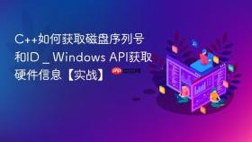 c++如何获取磁盘序列号和id _ windows api获取硬件信息【实战】