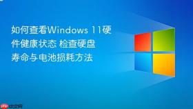 如何查看windows 11硬件健康状态 检查硬盘寿命与电池损耗方法