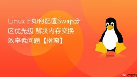 Linux下如何配置Swap分区优先级 解决内存交换效率低问题【指南】