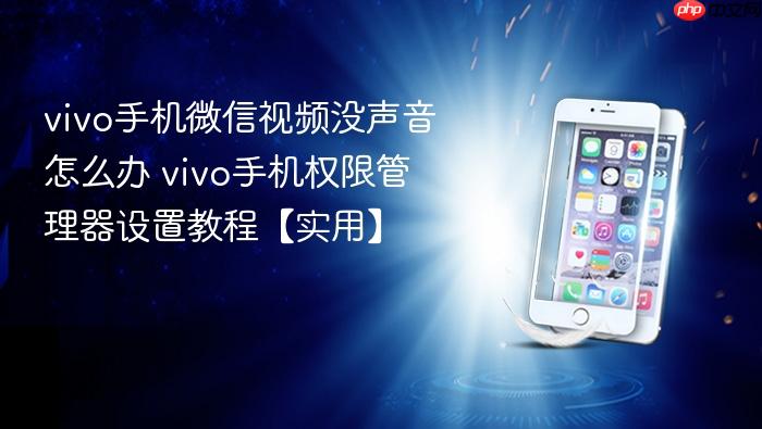 vivo手机微信视频没声音怎么办 vivo手机权限管理器设置教程【实用】