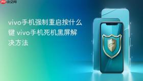 vivo手机强制重启按什么键 vivo手机死机黑屏解决方法