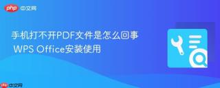 手机打不开pdf文件是怎么回事 wps office安装使用