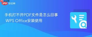 手机打不开PDF文件是怎么回事 WPS Office安装使用