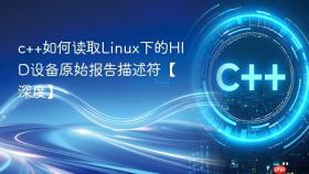 c++如何读取linux下的hid设备原始报告描述符【深度】