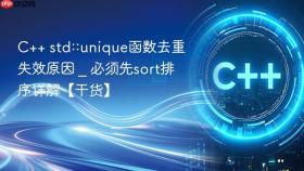 c++ std::unique函数去重失效原因 _ 必须先sort排序详解【干货】
