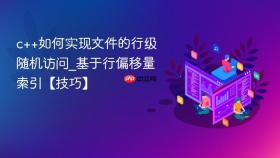 c++如何实现文件的行级随机访问_基于行偏移量索引【技巧】