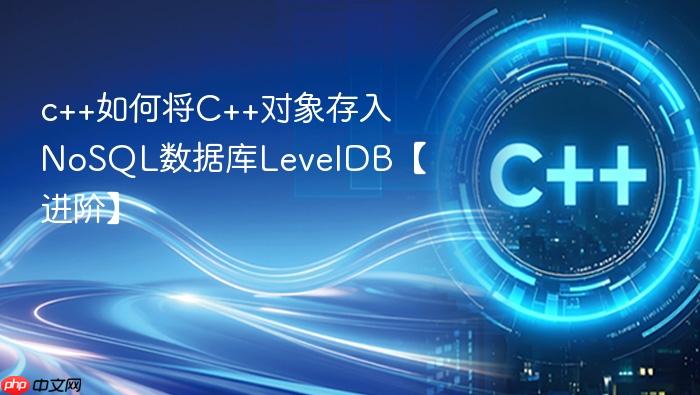 c++如何将c++对象存入nosql数据库leveldb【进阶】