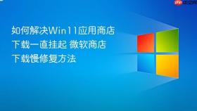 如何解决win11应用商店下载一直挂起 微软商店下载慢修复方法