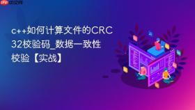 c++如何计算文件的crc32校验码_数据一致性校验【实战】