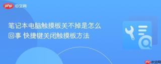 笔记本电脑触摸板关不掉是怎么回事 快捷键关闭触摸板方法