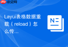 Layui表格数据重载（reload）怎么传参