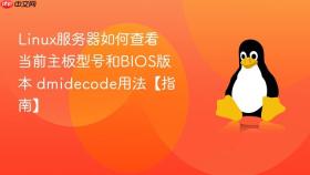 Linux服务器如何查看当前主板型号和BIOS版本 dmidecode用法【指南】
