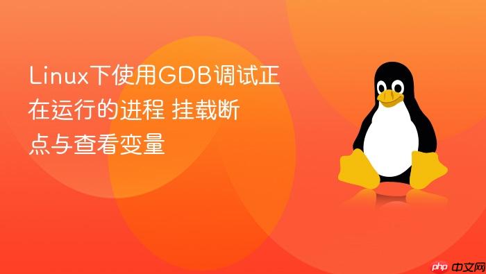 linux下使用gdb调试正在运行的进程 挂载断点与查看变量