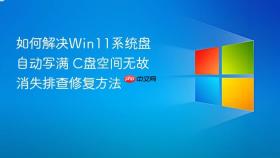 如何解决Win11系统盘自动写满 C盘空间无故消失排查修复方法