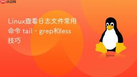 linux查看日志文件常用命令 tail、grep和less技巧