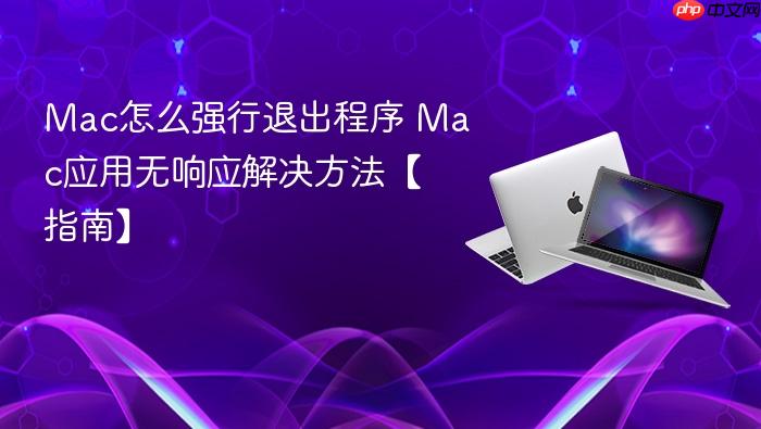 mac怎么强行退出程序 mac应用无响应解决方法【指南】