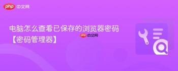 电脑怎么查看已保存的浏览器密码【密码管理器】
