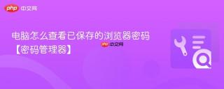 电脑怎么查看已保存的浏览器密码【密码管理器】