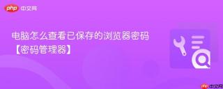 电脑怎么查看已保存的浏览器密码【密码管理器】