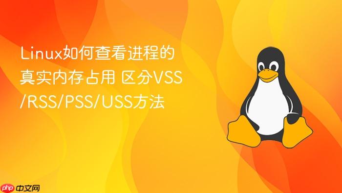 linux如何查看进程的真实内存占用 区分vss/rss/pss/uss方法