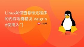 Linux如何查看特定程序的内存泄露情况 Valgrind使用入门