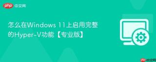 怎么在windows 11上启用完整的hyper-v功能【专业版】