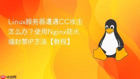 Linux服务器遭遇CC攻击怎么办？使用Nginx防火墙封禁IP方法【教程】
