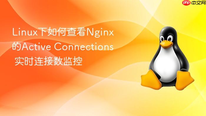 linux下如何查看nginx的active connections 实时连接数监控