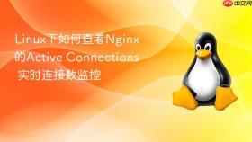linux下如何查看nginx的active connections 实时连接数监控