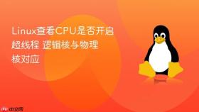 linux查看cpu是否开启超线程 逻辑核与物理核对应