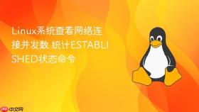 linux系统查看网络连接并发数 统计established状态命令