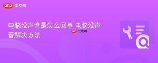 电脑没声音是怎么回事 电脑没声音解决方法