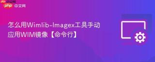 怎么用wimlib-imagex工具手动应用wim镜像【命令行】