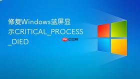 修复windows蓝屏显示critical_process_died