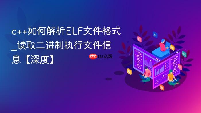 c++如何解析elf文件格式_读取二进制执行文件信息【深度】