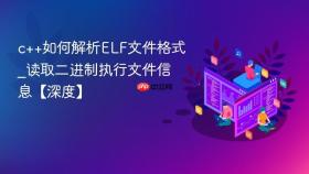c++如何解析elf文件格式_读取二进制执行文件信息【深度】