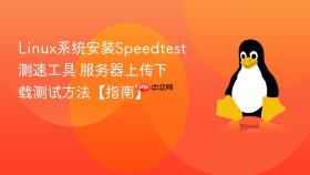linux系统安装speedtest测速工具 服务器上传下载测试方法【指南】