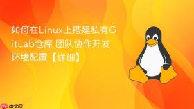 如何在linux上搭建私有gitlab仓库 团队协作开发环境配置【详细】
