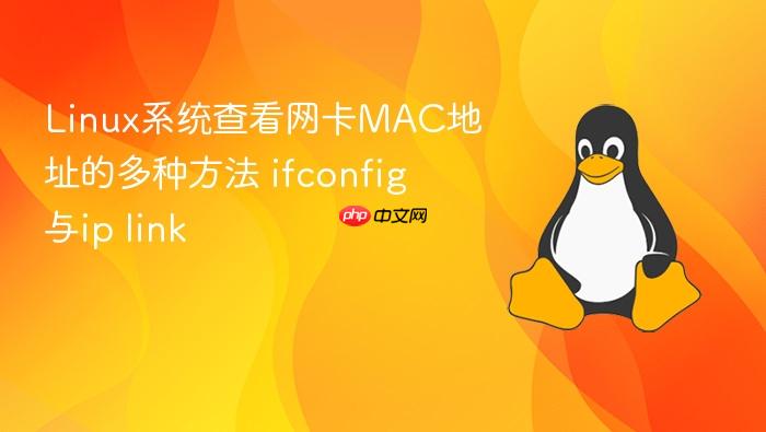 linux系统查看网卡mac地址的多种方法 ifconfig与ip link