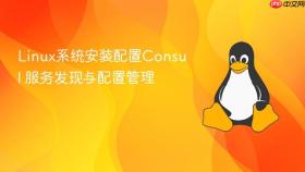 linux系统安装配置consul 服务发现与配置管理