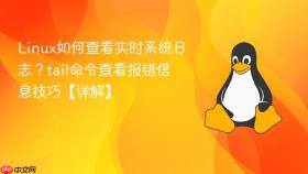 linux如何查看实时系统日志？tail命令查看报错信息技巧【详解】